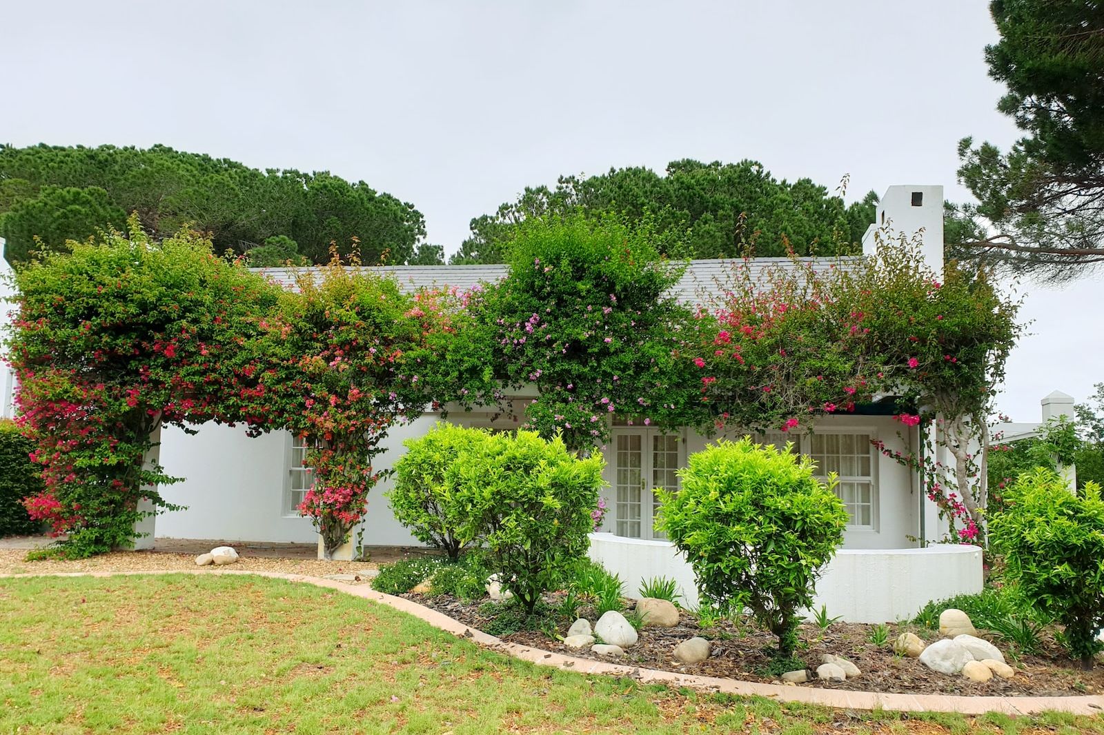 entretien de jardin