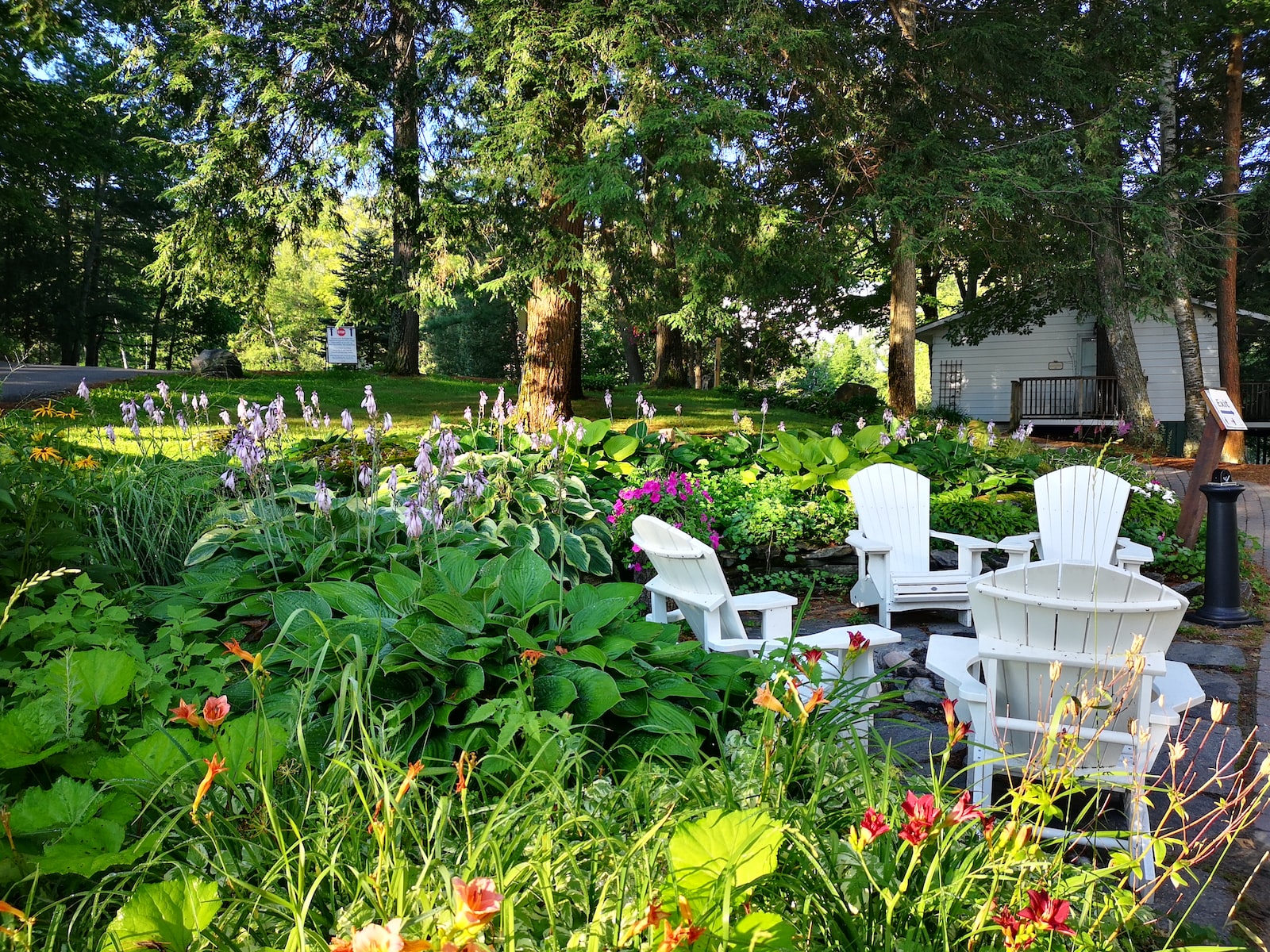 Paysage entretien jardin