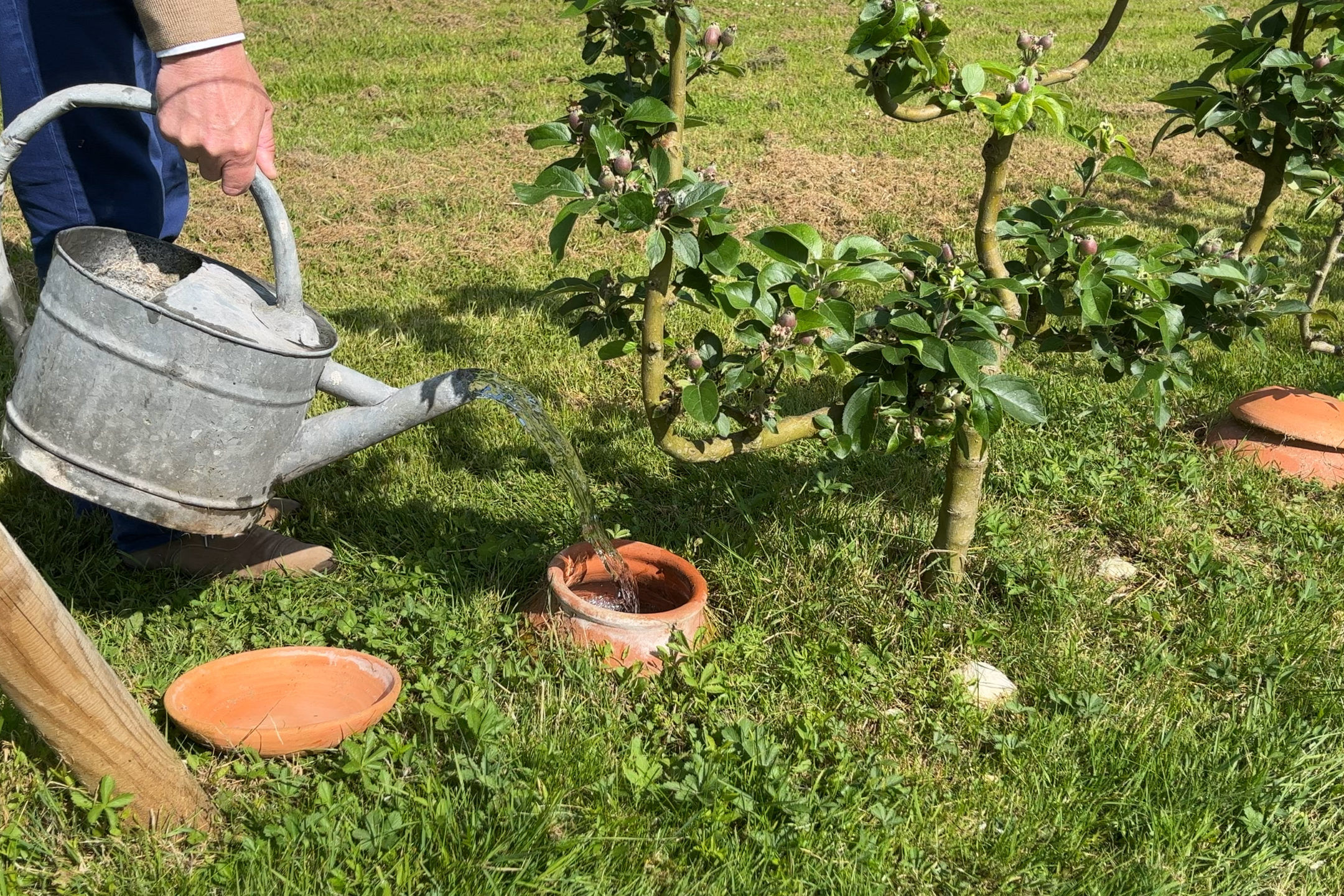 une olla en train d'être remplie d’eau