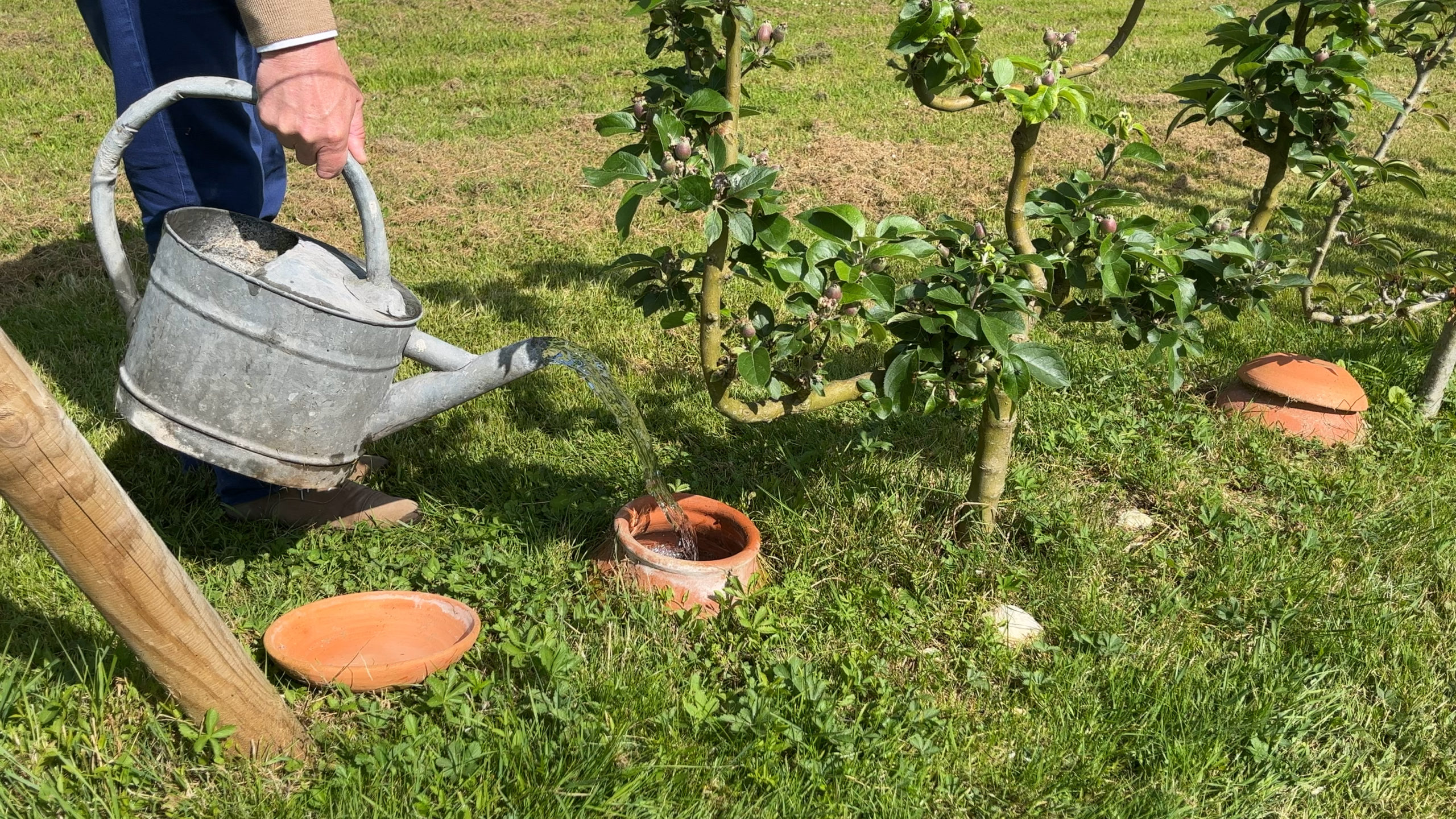 une olla en train d'être remplie d’eau