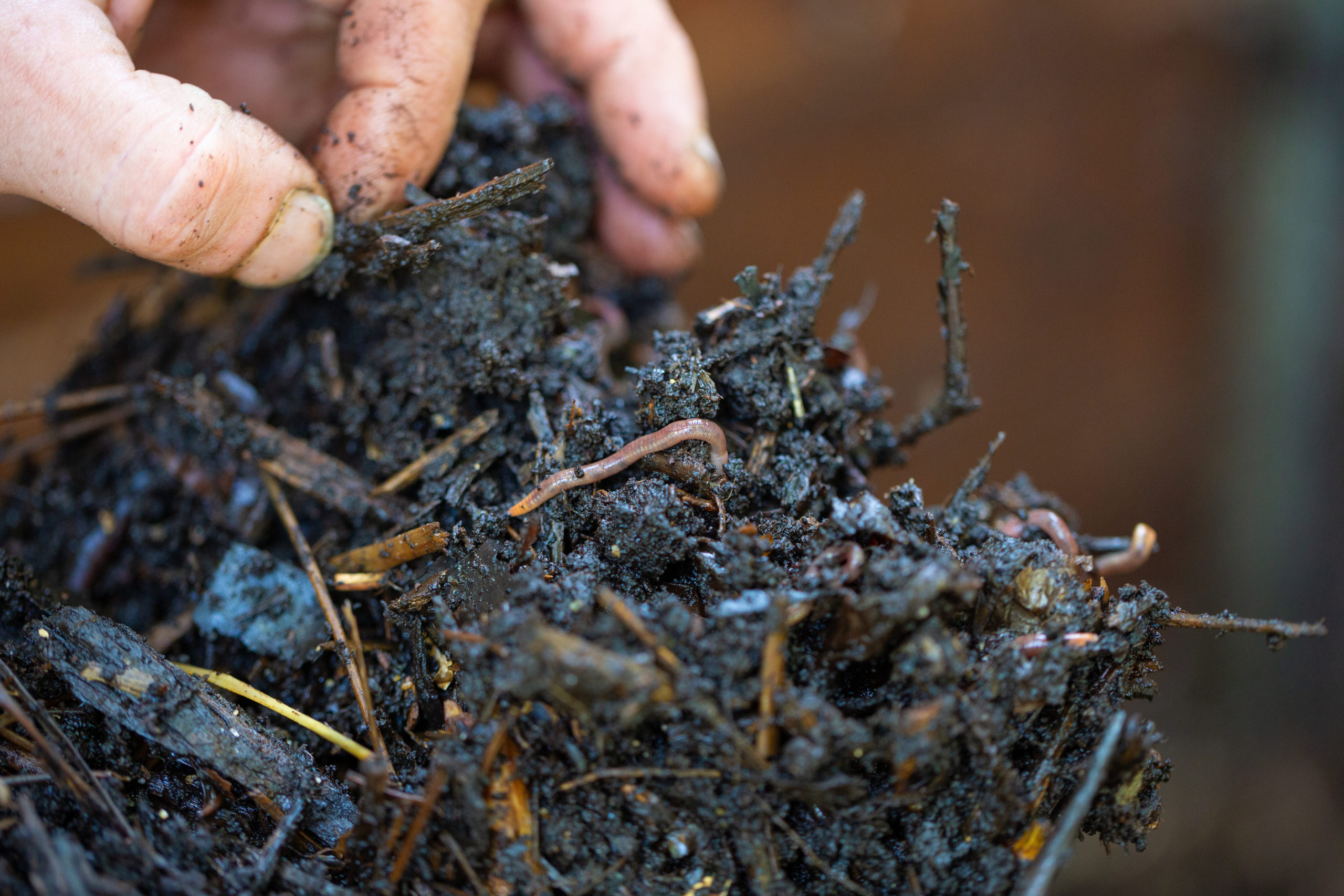 un fertilisant naturel pour le potager