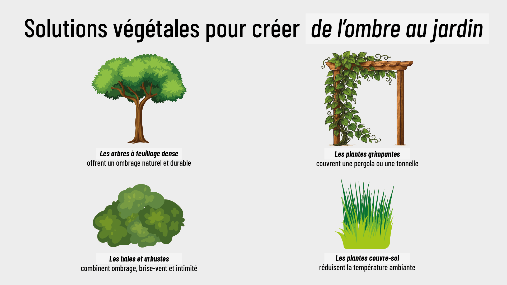 ombre au jardin